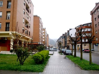 El Entrego (San Martín del Rey Aurelio) 01