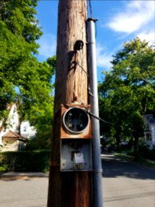 Electrical - Utility pole - Arlington, MA - 20200729 090025