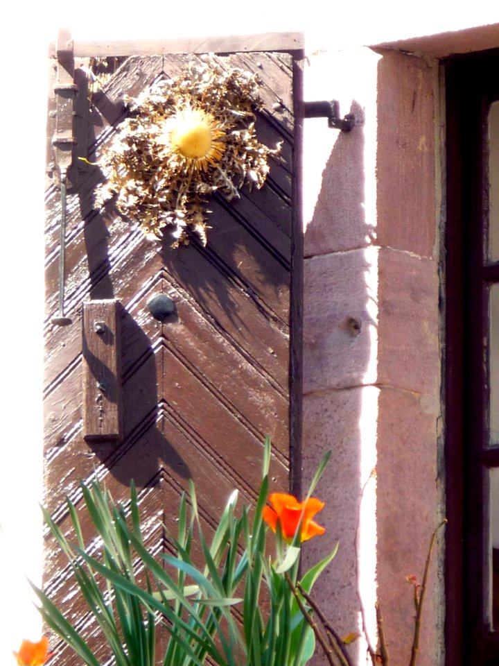 Elizondo (Baztan) - Puerta con Eguzki-lore