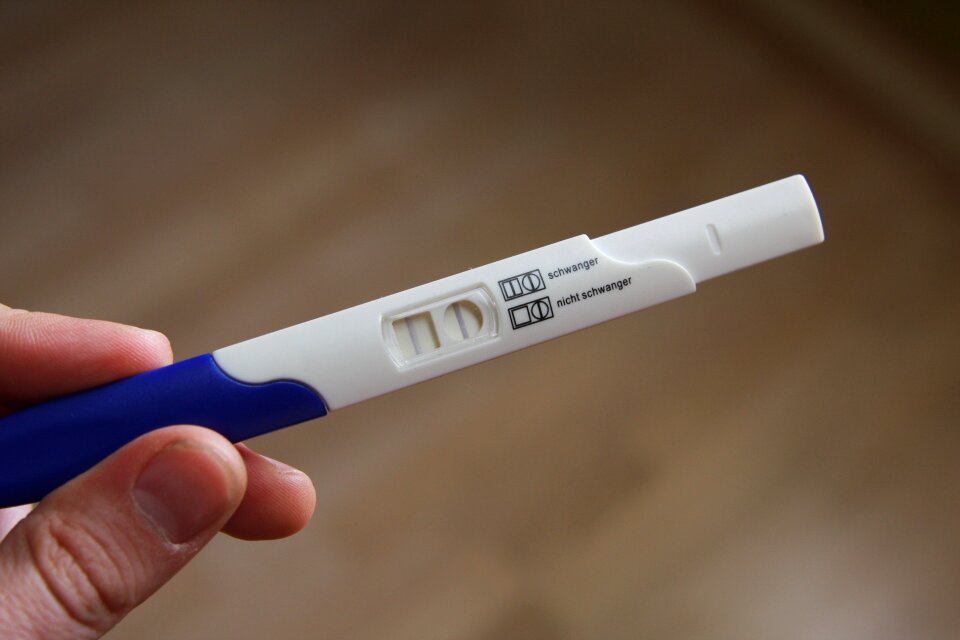 Pregnant pregnancy test baby