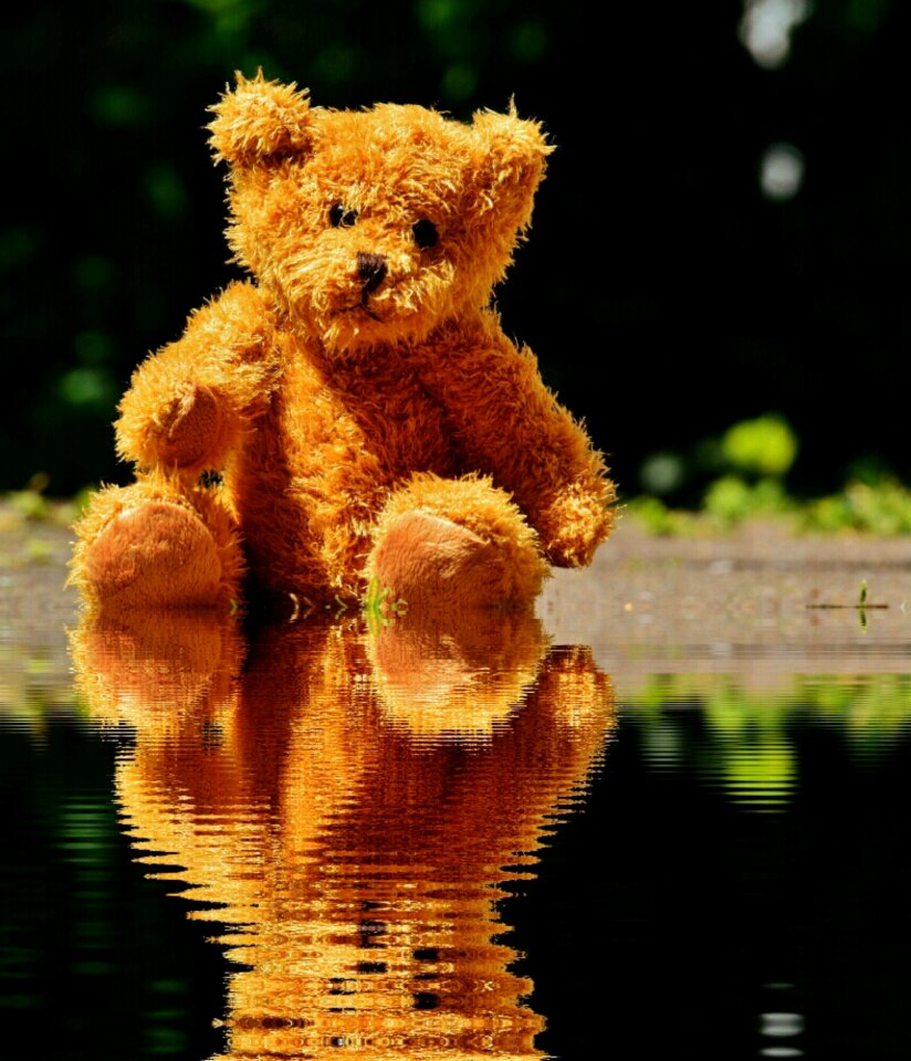 Stuffed animal teddy bear brown bear