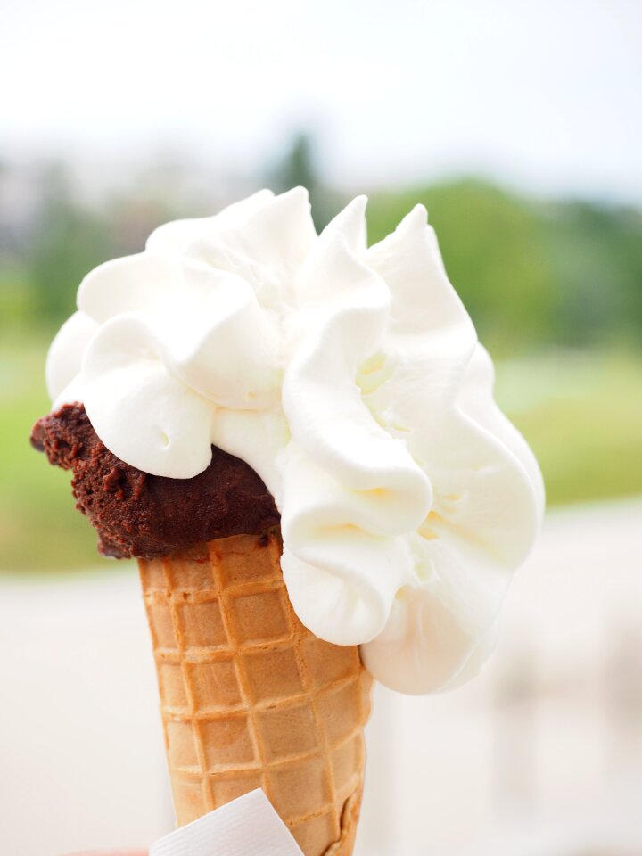 Cream bag ice cream dessert