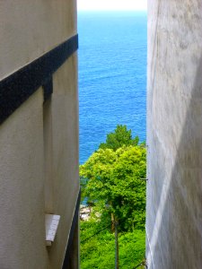 Elanchove - 071