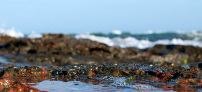 El Yaque Beach photo