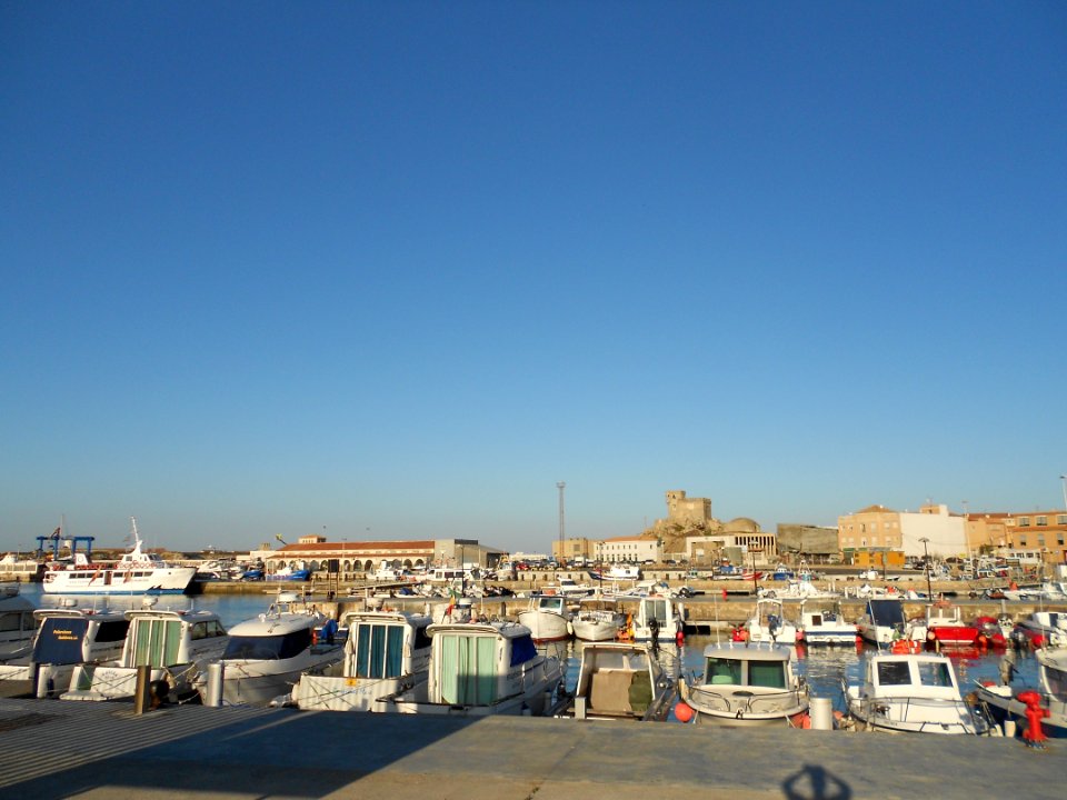 El puerto de Tarfia