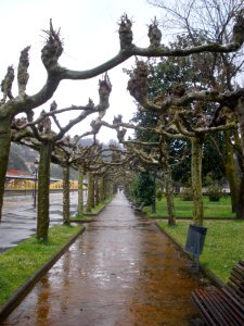 El Entrego (San Martín del Rey Aurelio) 07