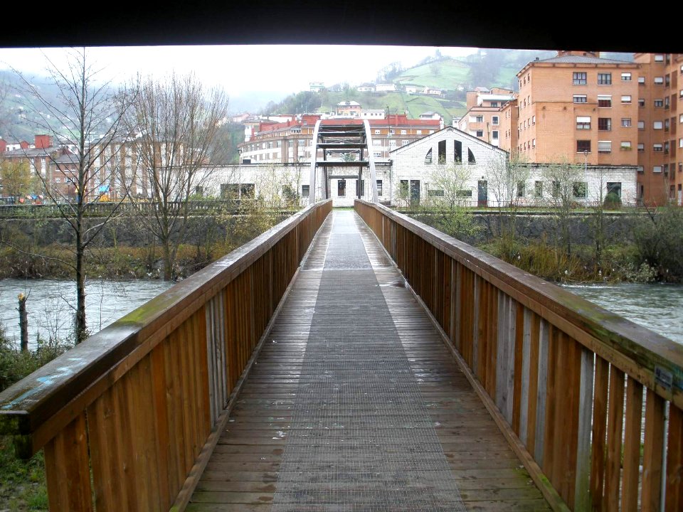 El Entrego (San Martín del Rey Aurelio) 06