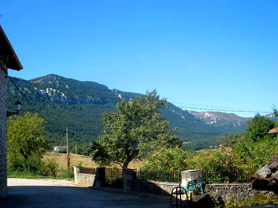El Vigo (Valle de Mena)