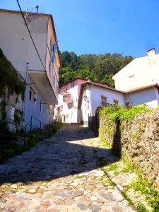 Elanchove - 028