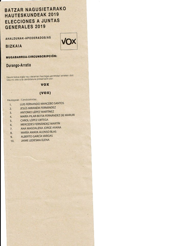 Elecciones a Juntas Generales de Bizkaia en España 2019 Durango-Arratia VOX
