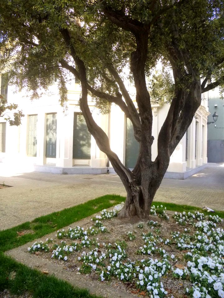 El Prat de Llobregat - Centre d'Art Torre Muntadas-Teatre Kaddish 4