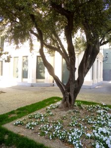 El Prat de Llobregat - Centre d'Art Torre Muntadas-Teatre Kaddish 4