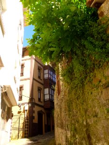 Elanchove - 055