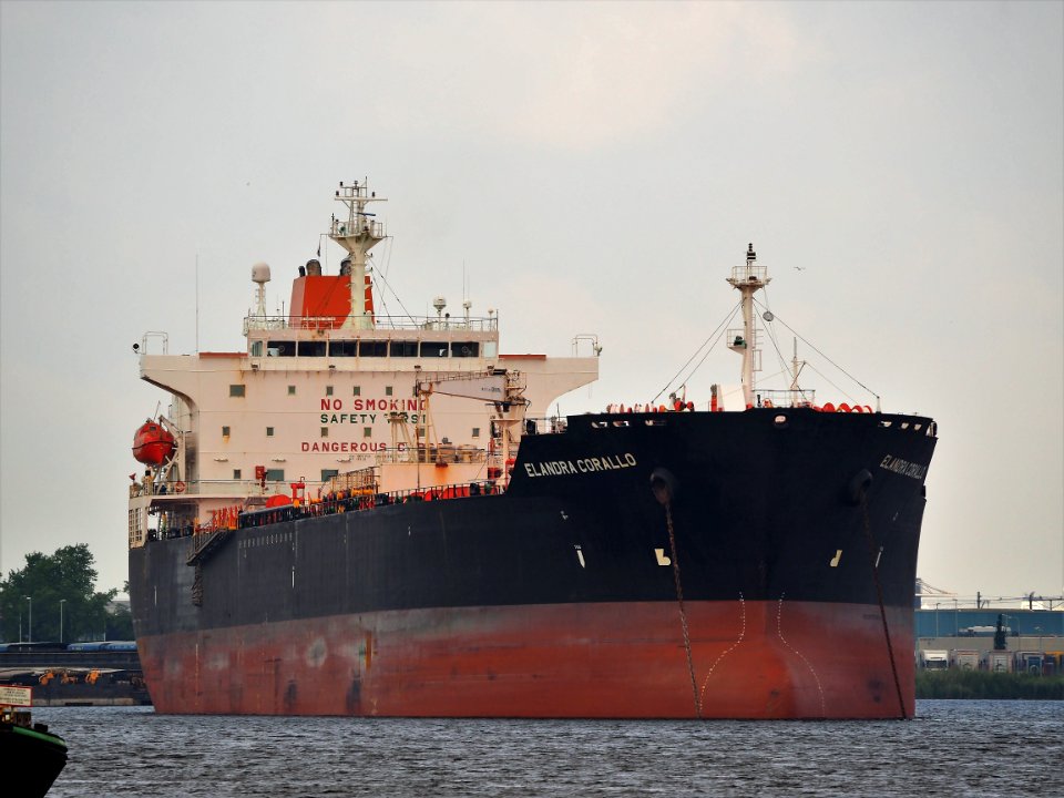 Elandra Corallo (ship, 2008) IMO 9396751, Port of Amsterdam pic2