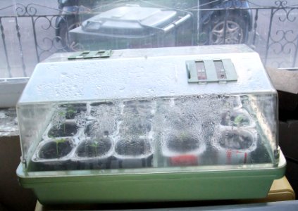 ElectricPropagator