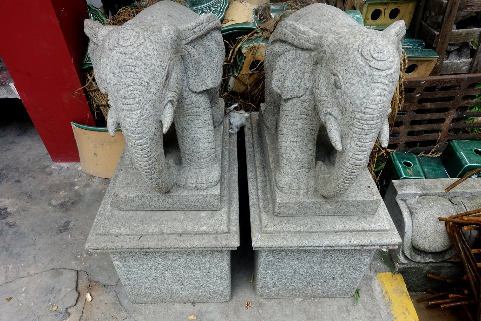 Elephants, Haichuang Temple