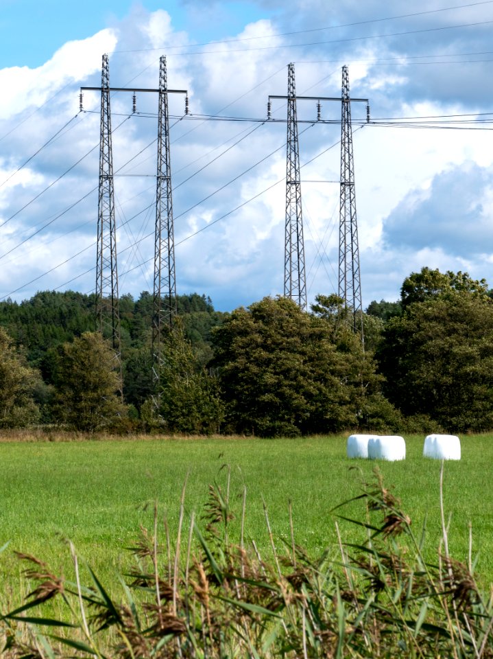 Electricity pylons in Häggvall 12