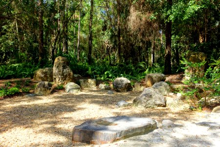 Early Rock Garden - Morikami Museum and Japanese Gardens - Palm Beach County, Florida - DSC03392