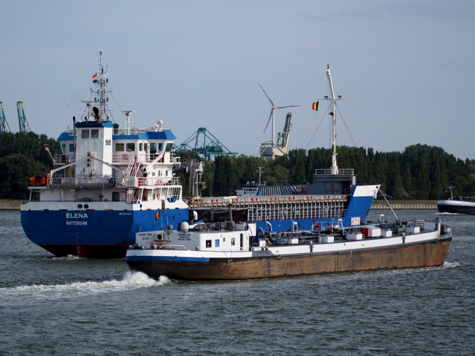 Elena - IMO 9574315 & Cerambycida - ENI 06002560, Port of Antwerp