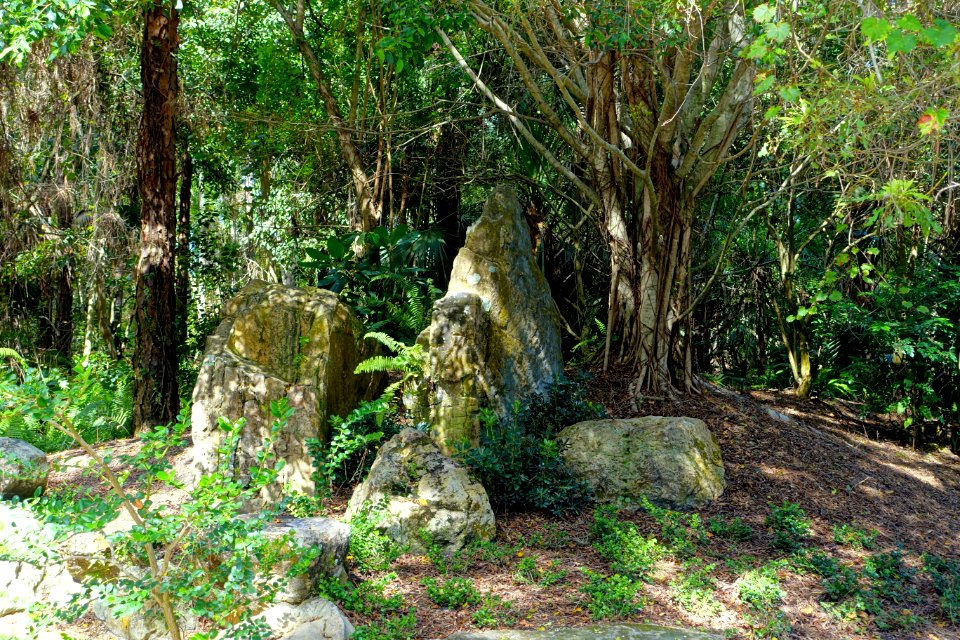 Early Rock Garden - Morikami Museum and Japanese Gardens - Palm Beach County, Florida - DSC03378