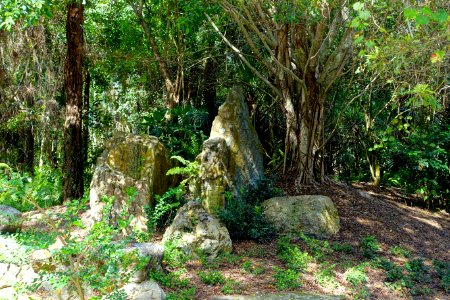 Early Rock Garden - Morikami Museum and Japanese Gardens - Palm Beach County, Florida - DSC03378