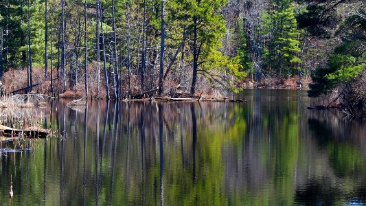 Early Spring Reflections (207883883)