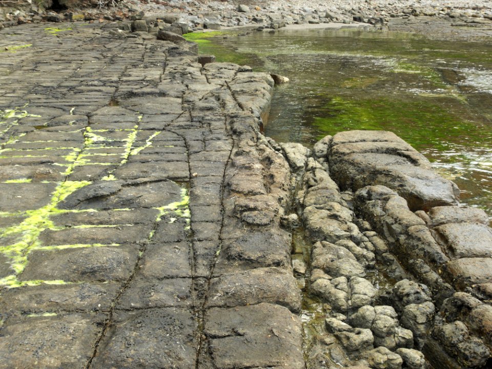 Eaglehawk Neck tessellated pavement 20201115-022