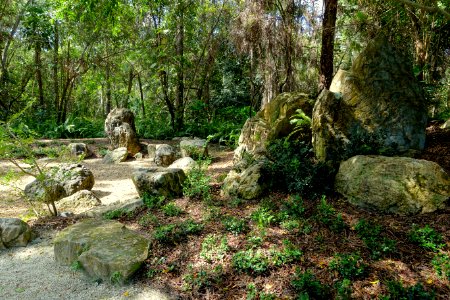 Early Rock Garden - Morikami Museum and Japanese Gardens - Palm Beach County, Florida - DSC03372