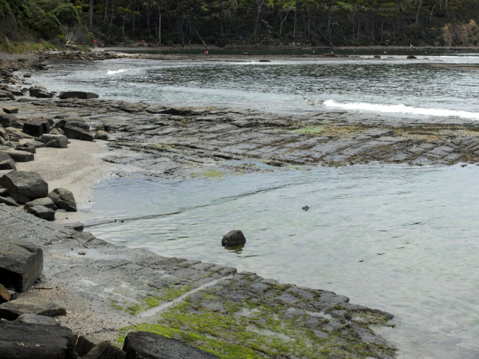 Eaglehawk Neck tessellated pavement 20201115-018
