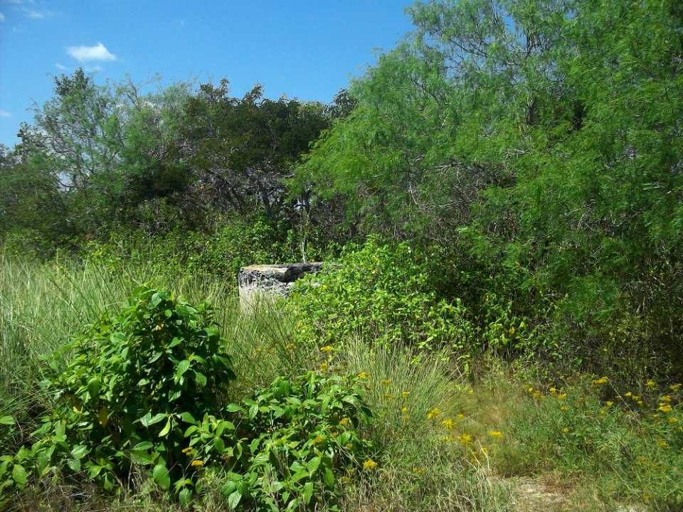 Elená (Progreso), Yucatán (02)
