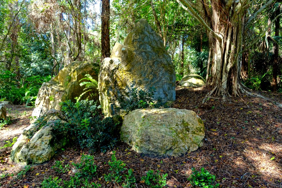 Early Rock Garden - Morikami Museum and Japanese Gardens - Palm Beach County, Florida - DSC03396