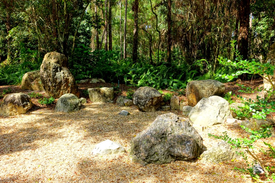 Early Rock Garden - Morikami Museum and Japanese Gardens - Palm Beach County, Florida - DSC03376