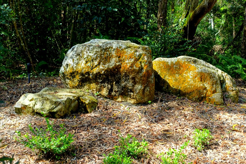 Early Rock Garden - Morikami Museum and Japanese Gardens - Palm Beach County, Florida - DSC03382