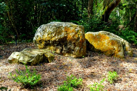 Early Rock Garden - Morikami Museum and Japanese Gardens - Palm Beach County, Florida - DSC03382