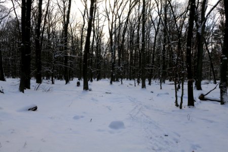 East of the Spandauer Forst with snow 2021-02-10 09