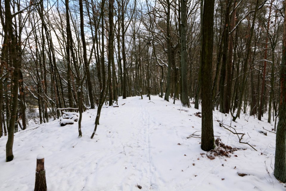 East of the Spandauer Forst with snow 2021-02-10 01