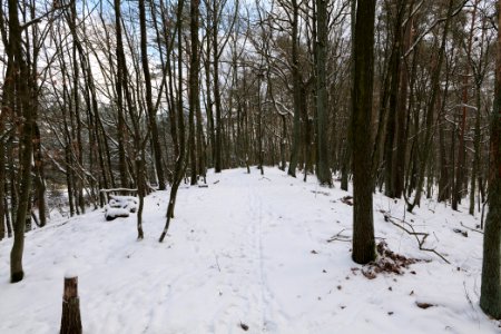 East of the Spandauer Forst with snow 2021-02-10 01