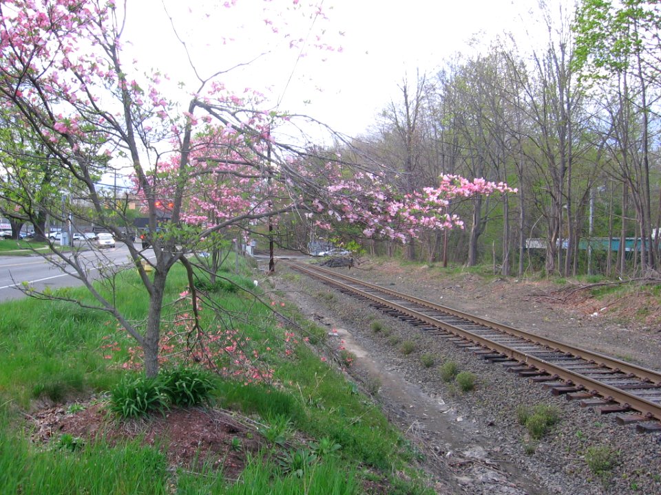 East Danbury flag stop 012