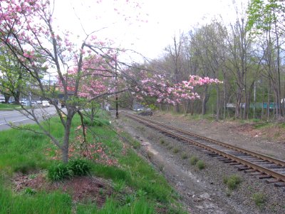 East Danbury flag stop 012