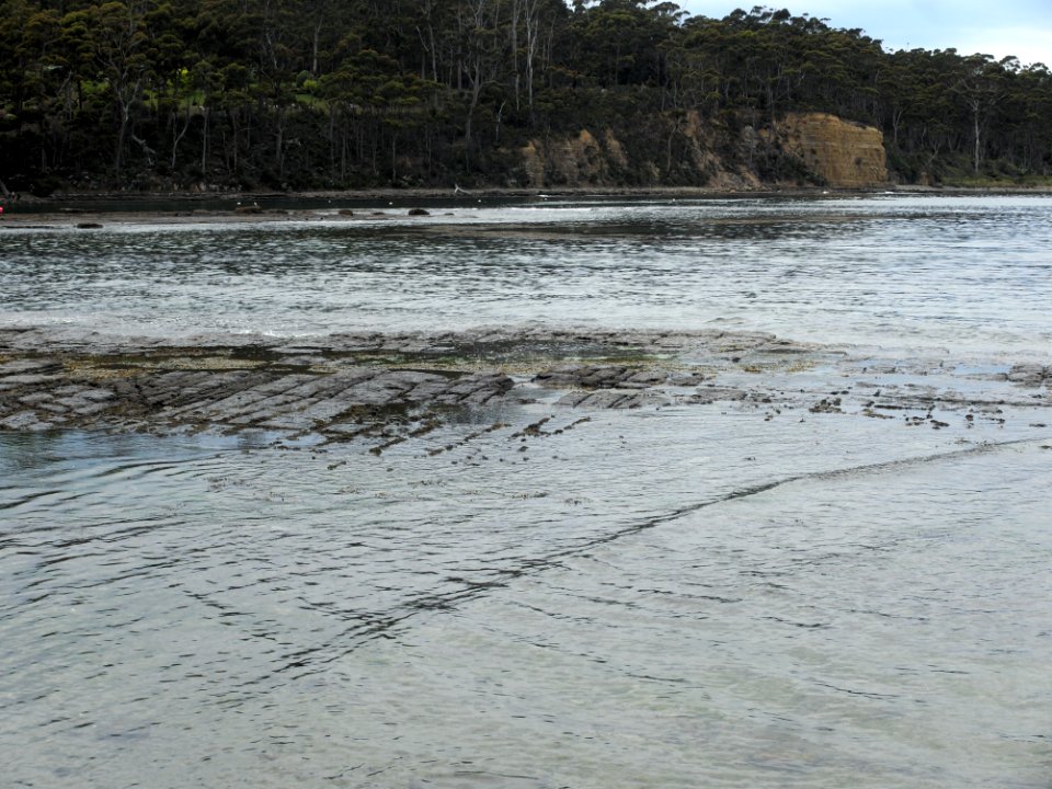 Eaglehawk Neck tessellated pavement 20201115-017