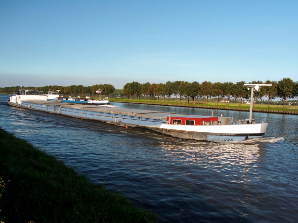 Earthquake (Fossa) (ENI 02317994) at the Amsterdam-Rhine Canal, pic1