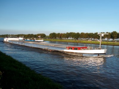 Earthquake (Fossa) (ENI 02317994) at the Amsterdam-Rhine Canal, pic1