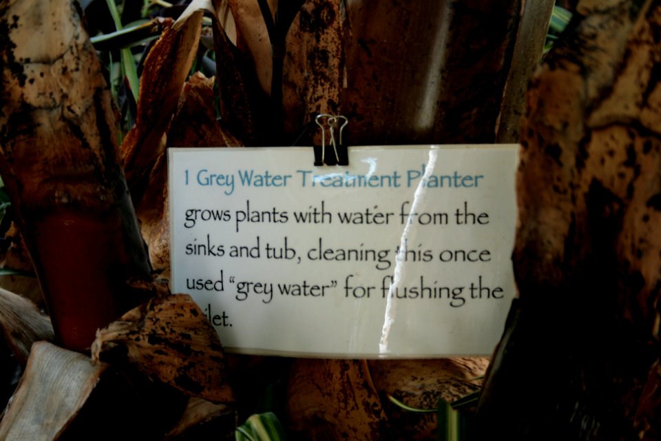 Earthship museum 1 greywater treatment planter