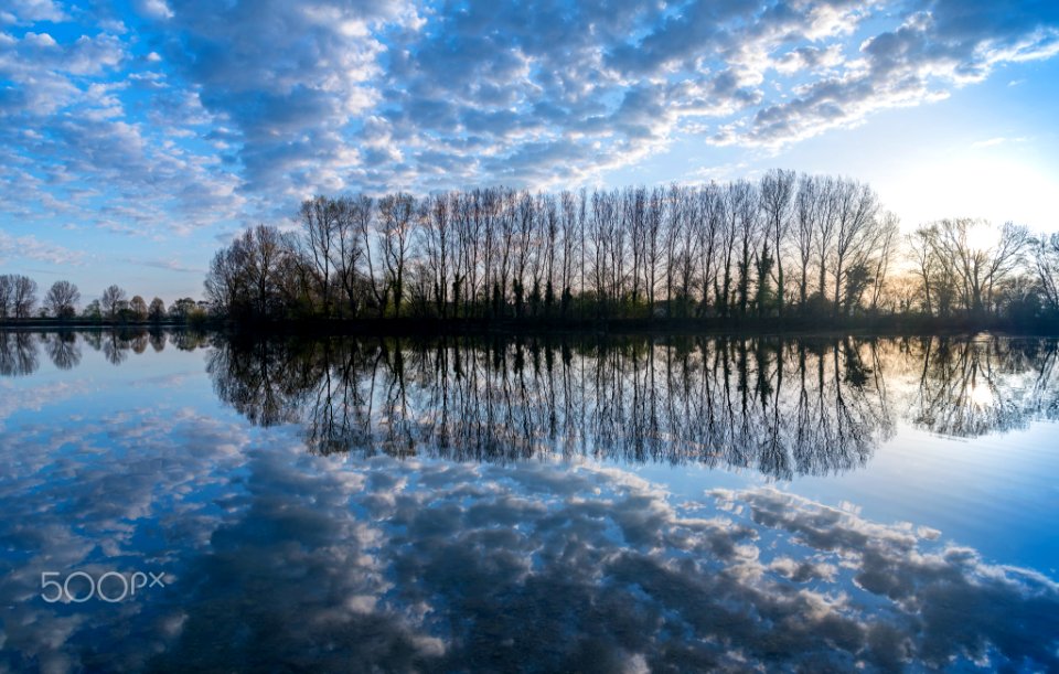 Early Morning Reflections (261400861)