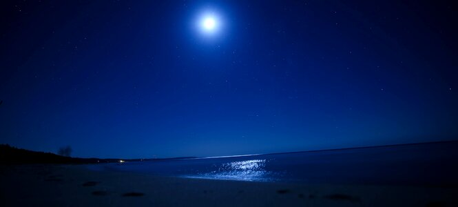 Beach night moon