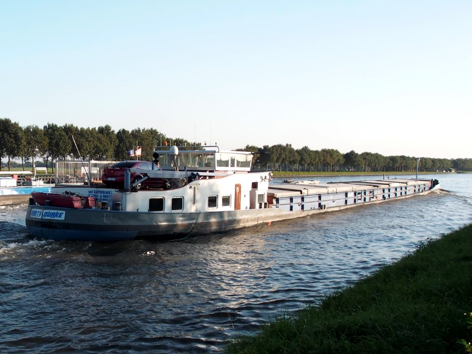 Earthquake (Fossa) (ENI 02317994) at the Amsterdam-Rhine Canal, pic3