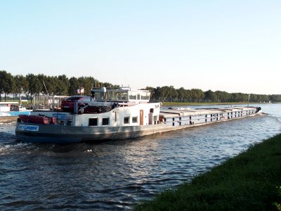 Earthquake (Fossa) (ENI 02317994) at the Amsterdam-Rhine Canal, pic3