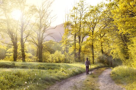 Landscape spring sun