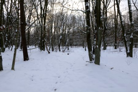 East of the Spandauer Forst with snow 2021-02-10 15
