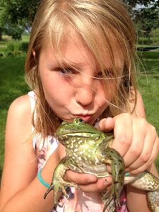 Farm frog brown kiss